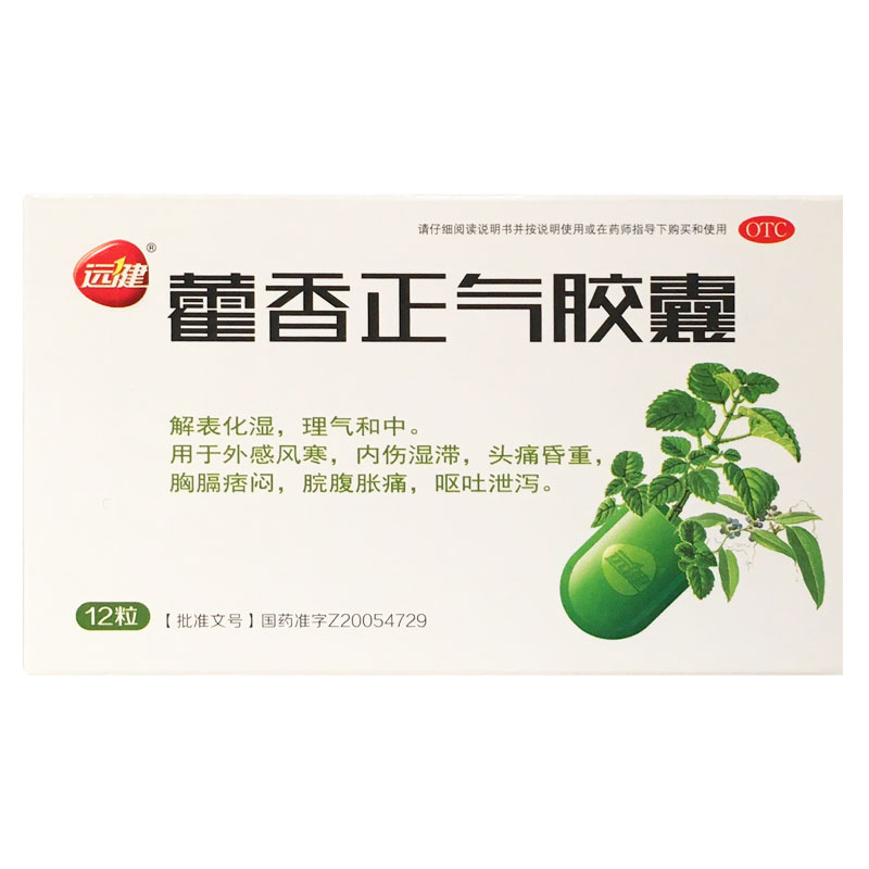 远健-藿香正气胶囊